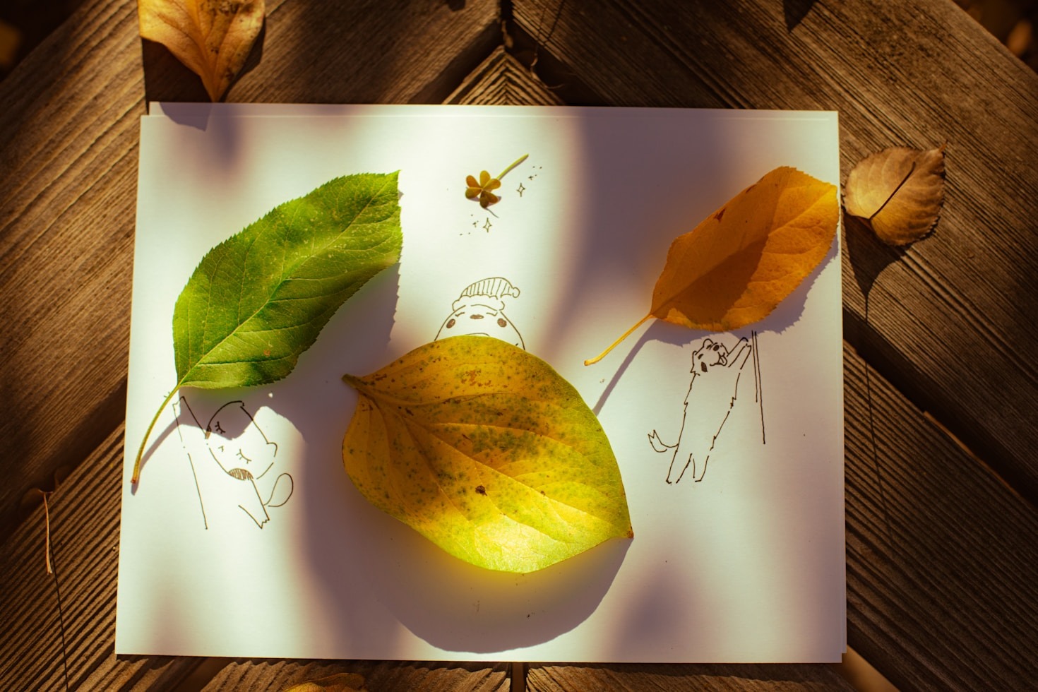 Creative Ways to Use Coloring Sheets